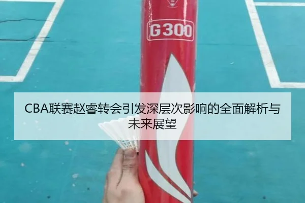 CBA联赛赵睿转会引发深层次影响的全面解析与未来展望