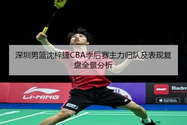 深圳男篮沈梓捷CBA季后赛主力归队及表现复盘全景分析
